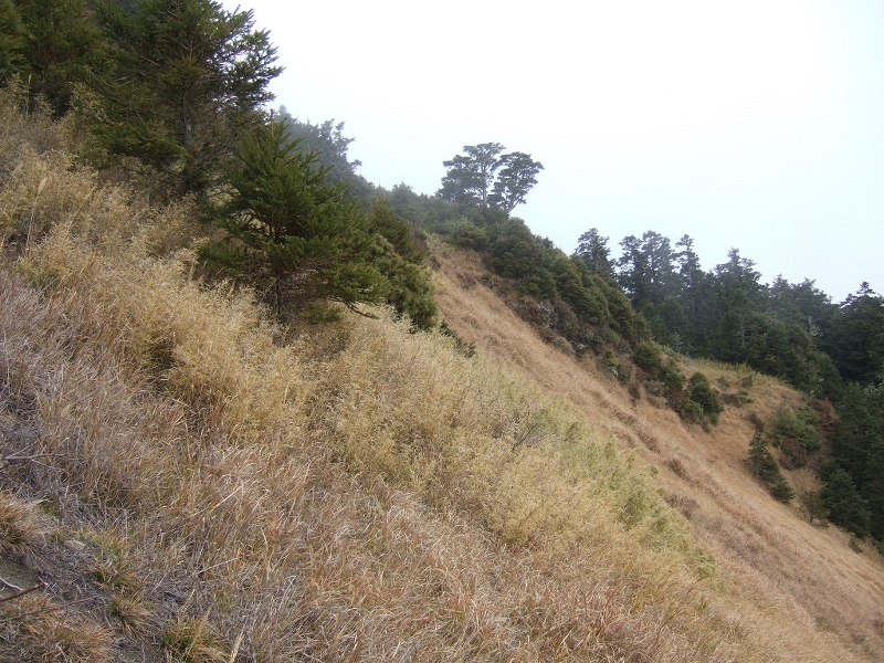  南馬洋山 (保育志工黃建中、盧素珍提供)