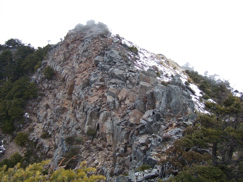布秀蘭山 (保育志工黃建中、盧素珍提供)