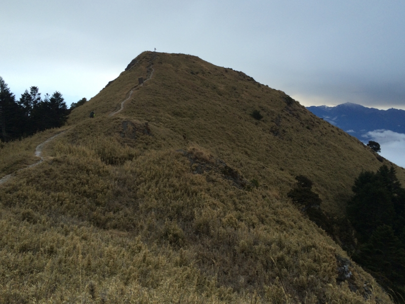 桃山 (保育志工黃建中、盧素珍提供)