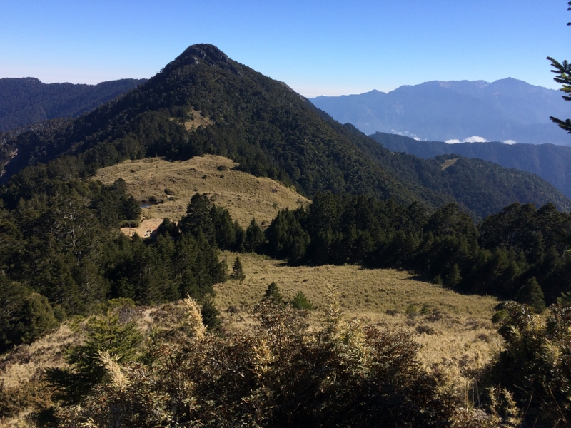 池有山 (保育志工黃建中、盧素珍提供)