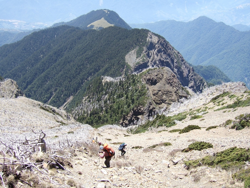 雪山南峰 (保育志工黃建中、盧素珍提供)