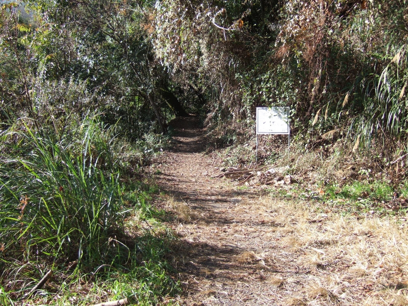 鎮西堡登山口 (保育志工黃建中、盧素珍提供)