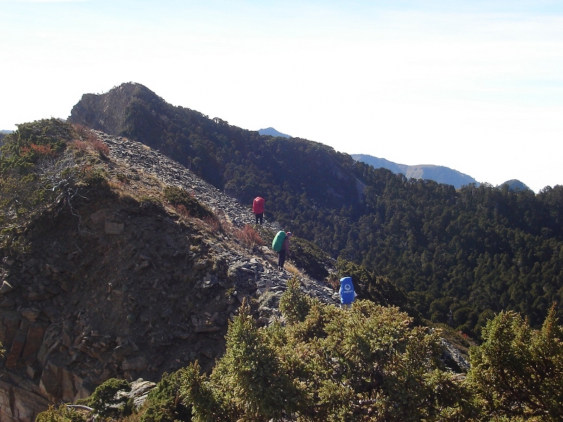 翠池三叉山  (保育志工黃建中、盧素珍提供)