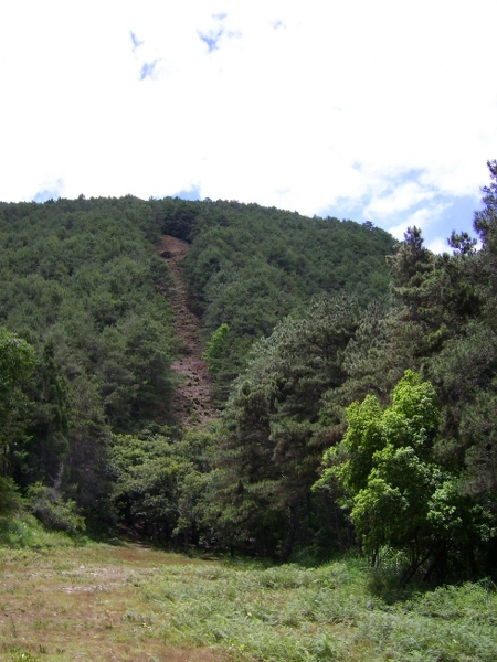 防火巷登山口